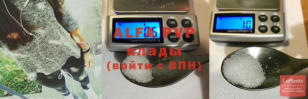 шишки Верея