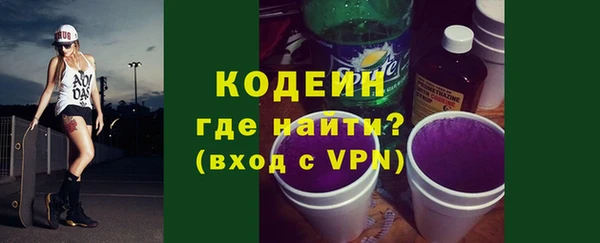 шишки Верея