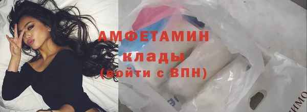 шишки Верея