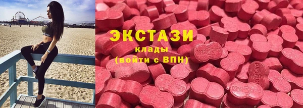 шишки Верея