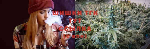 шишки Верея