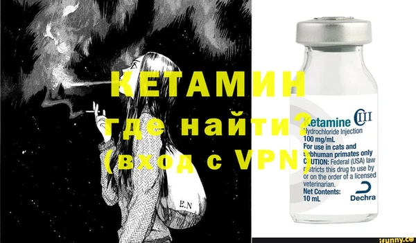 шишки Верея
