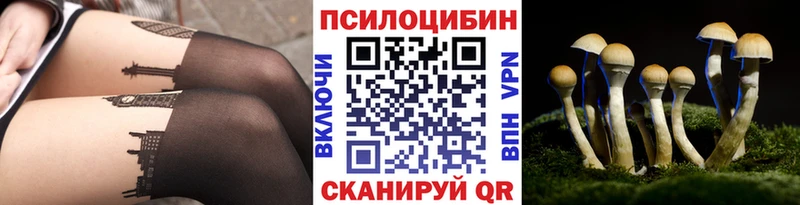 Галлюциногенные грибы мицелий  закладка  Тюмень 
